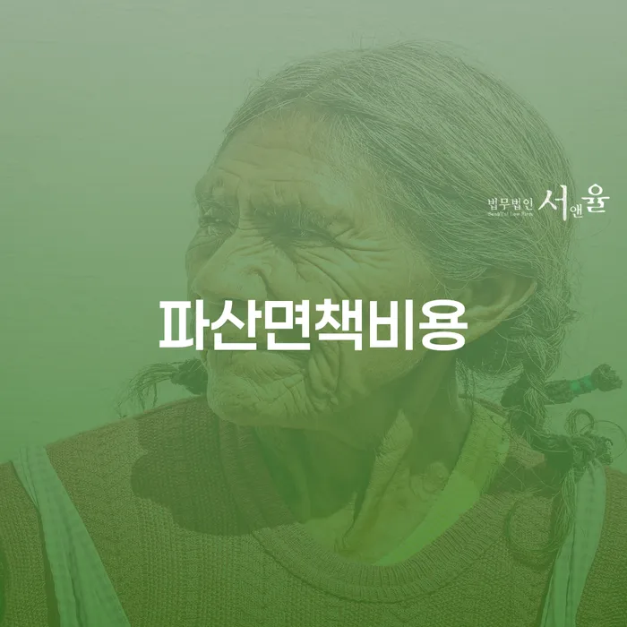 대출금미납 개인회생 잘 하는 변호사
