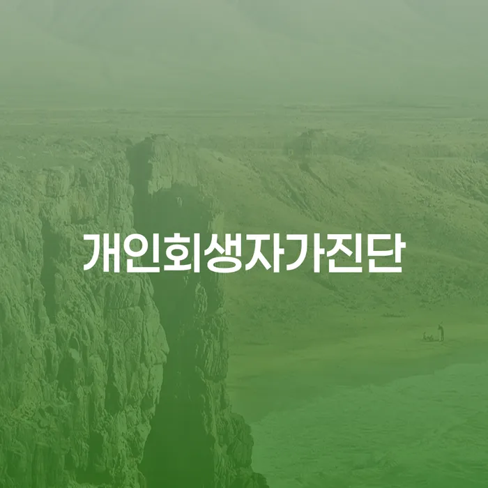 개인회생최근대출 채무 효과적인 해결방법 믿고 진행 할 수 있는