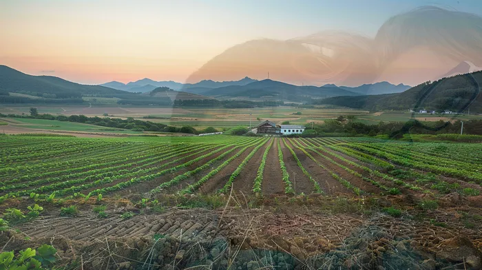 개인회생신청자격조회