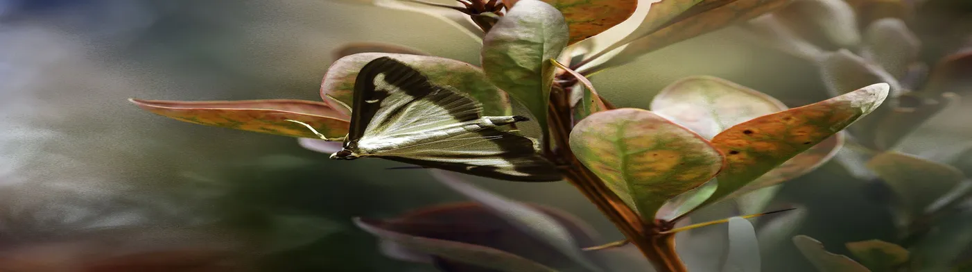 법무법인 서앤율