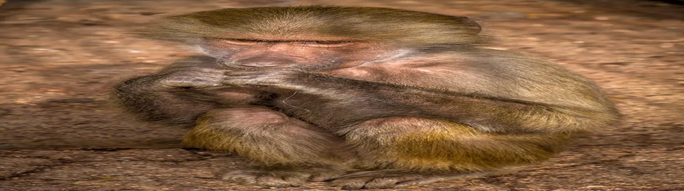 법무법인 서앤율