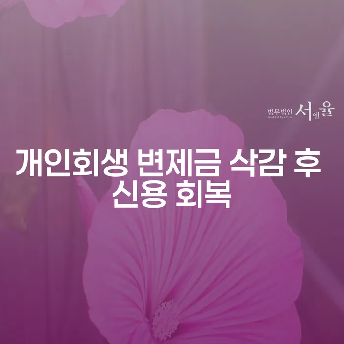 개인회생 변제금 삭감 후 신용 회복을 위한 전략은?
