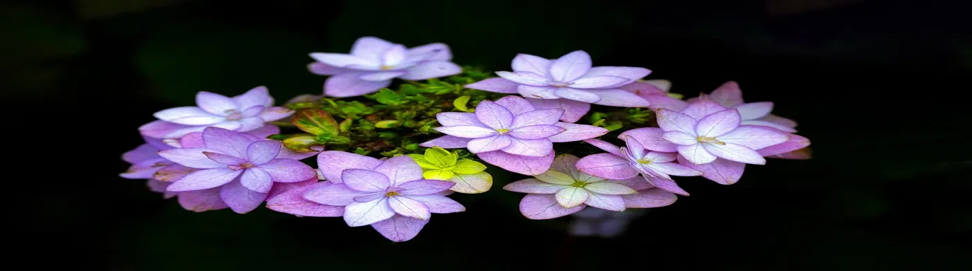 법무법인 서앤율