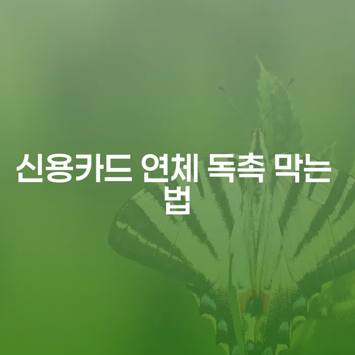 신용카드 연체 독촉을 막으려면 어떻게 해야 할까요?