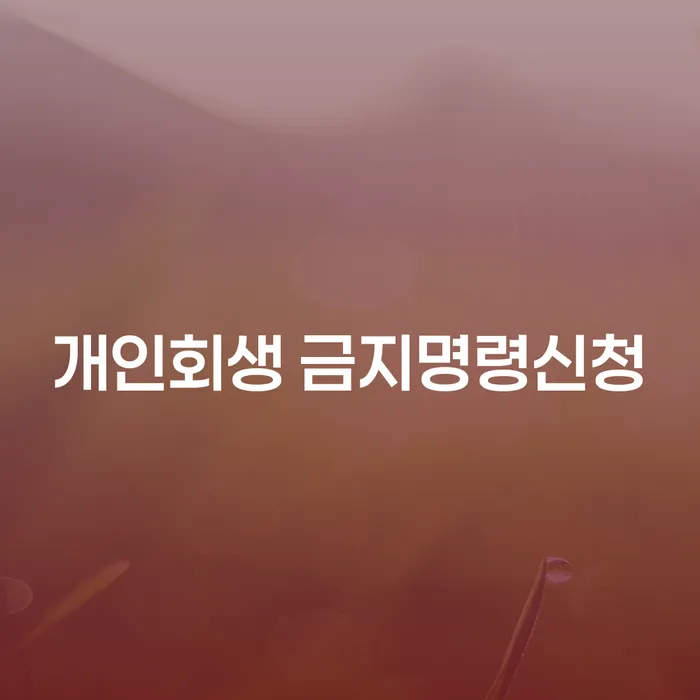개인회생 금지명령신청, 어떻게 해야 할까요?