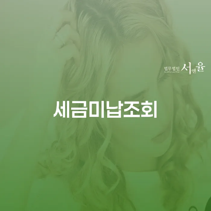 세금미납조회, 미납세금 어떻게 해결할 수 있을까요?